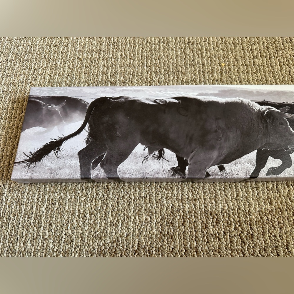 Bull Canvas Sign
